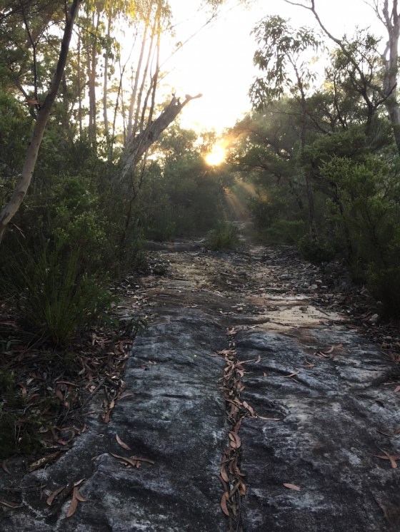 First Rays of the Sun