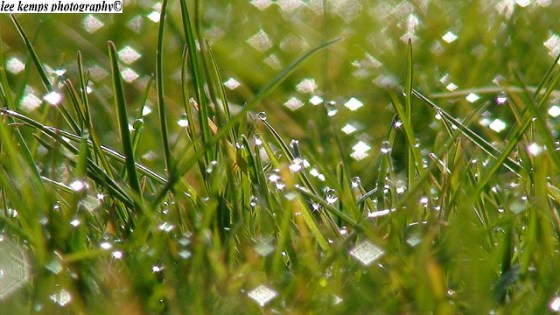 3641598310_16557f933a_z