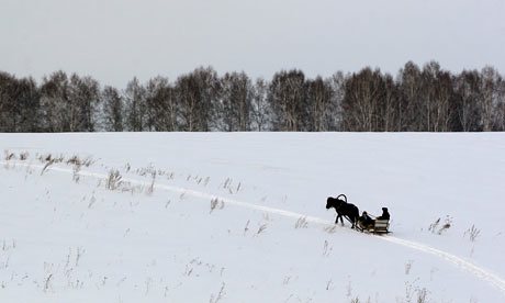 a-horse-drawn-sleigh-in-s-007