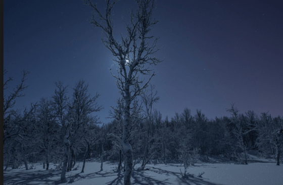 Screen Shot 2019-02-27 at 1.29.51 pm