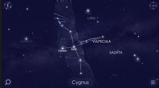 Screen Shot 2019-03-19 at 5.29.23 pm