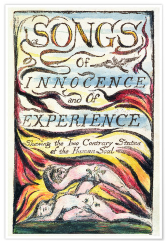 Screen Shot 2019-08-07 at 2.22.53 pm