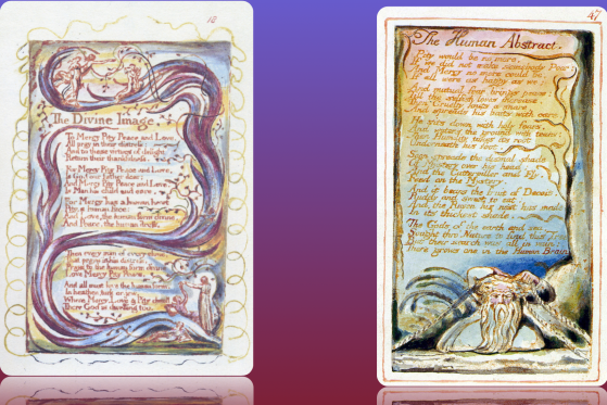 Screen Shot 2019-08-21 at 2.11.25 pm